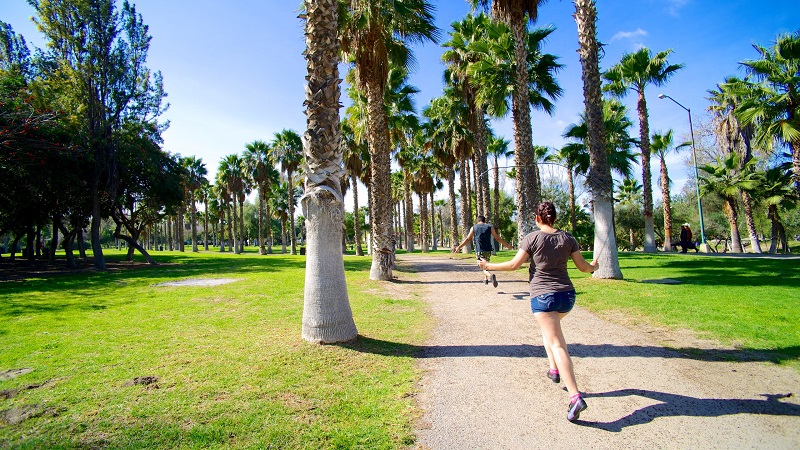 Parque Morelos em Tijuana Parque Morelos em Tijuana